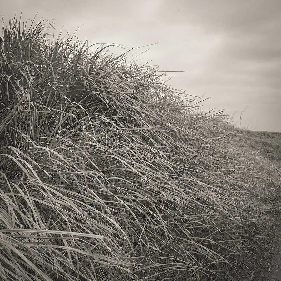 michiko_chiyoda_oshichi_12