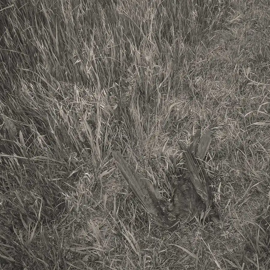 michiko_chiyoda_oshichi_13