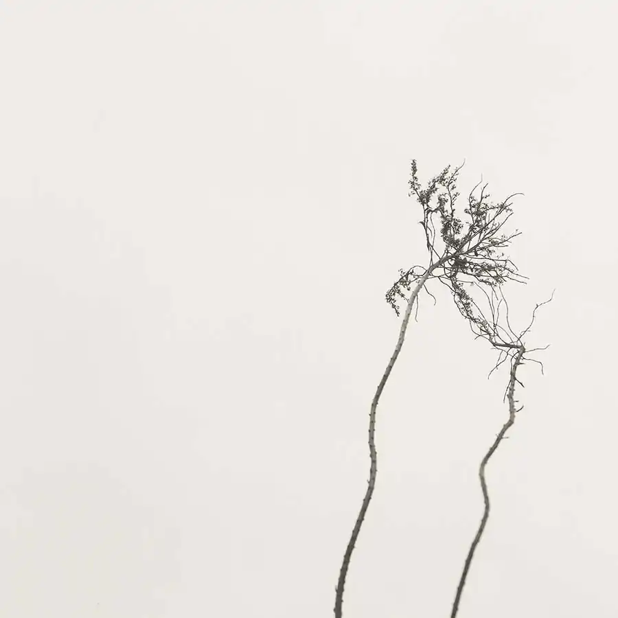 michiko_chiyoda_oshichi_15