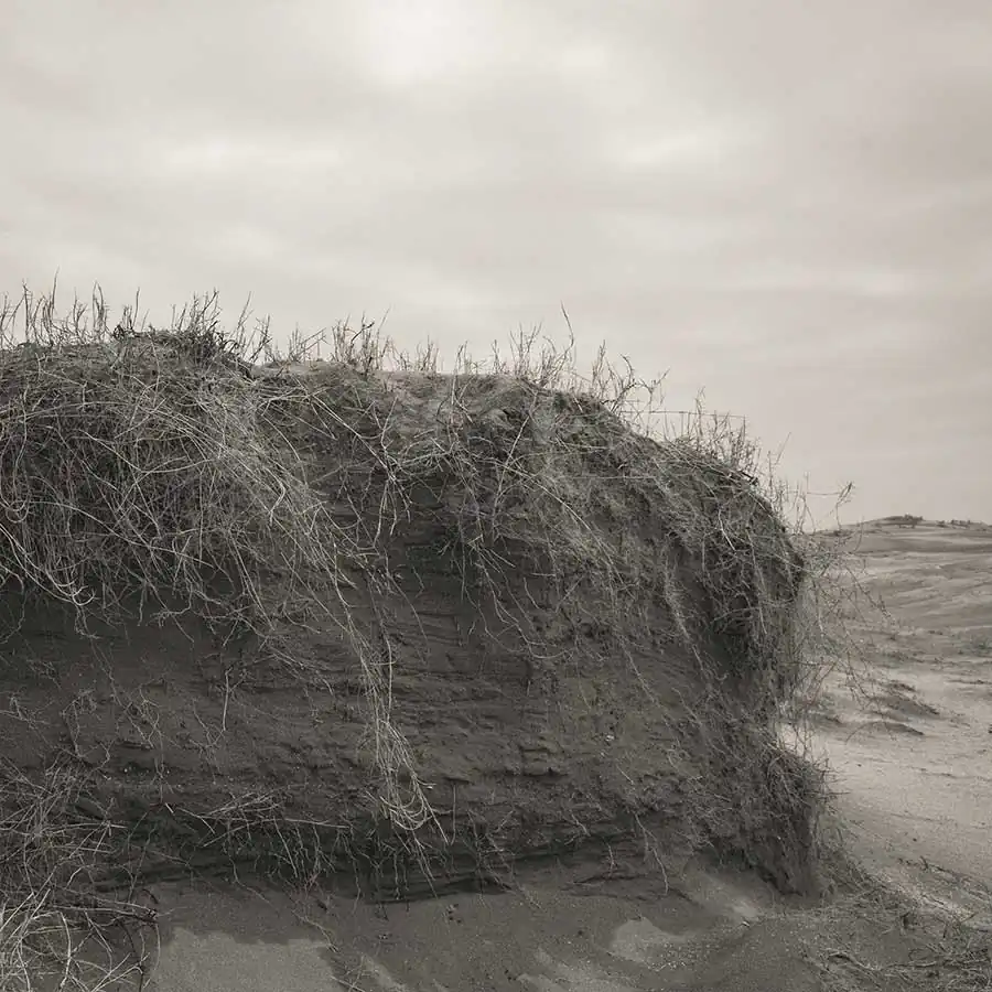 michiko_chiyoda_oshichi_17