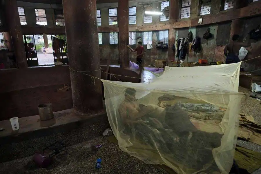 Alain_Schroeder_7585