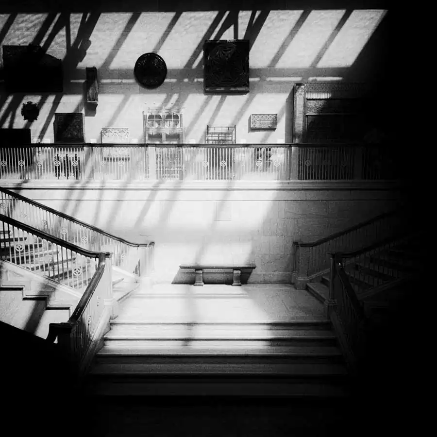 The White City by Angie McMonigal