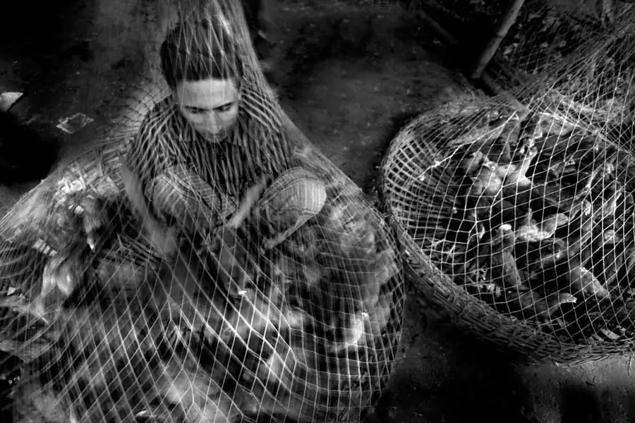 Bangladesh; Old streets old stories by Saud A Faisal