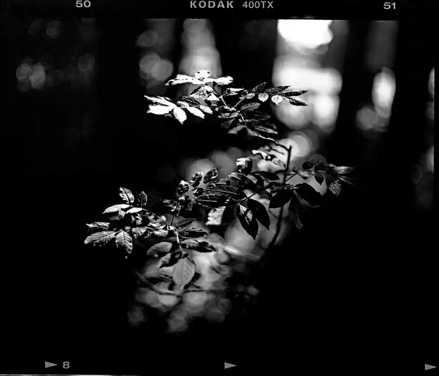 guillaume_dhubert_002