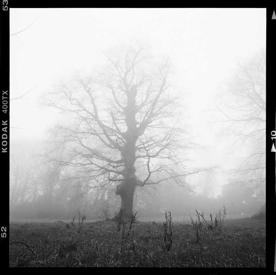 guillaume_dhubert_009