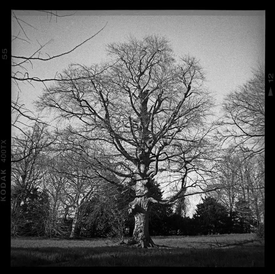 guillaume_dhubert_010