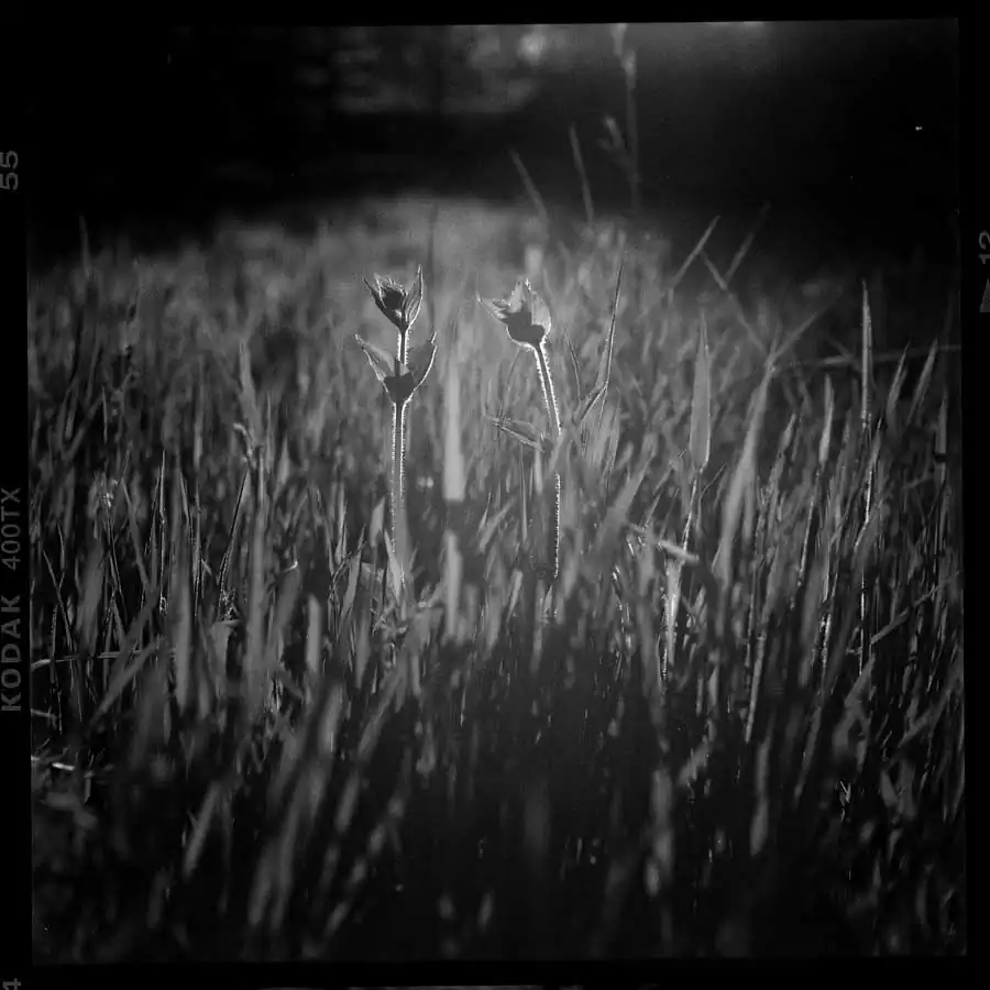 guillaume_dhubert_011