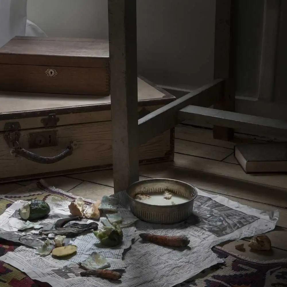 From 'Fictitious Feasts', work about food scenes in literature. Here in Gregor Samsa's bedroom, the rotten food and bowl of milk, from the Czech novel "The Metamorphpsis" (Die Verwandlung) by Franz Kafka