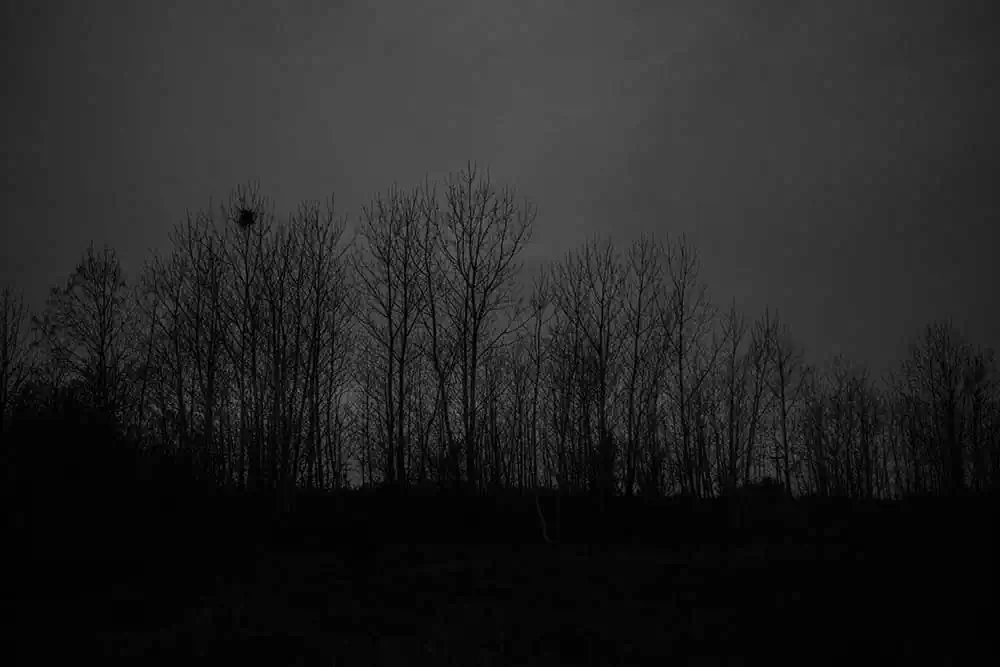 Idomeni / Dimitris Rapakousis