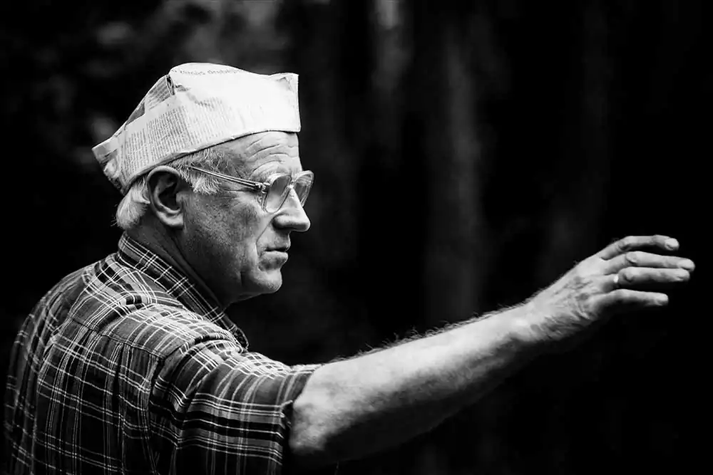 Life after death by Edgaras Vaicikevicius