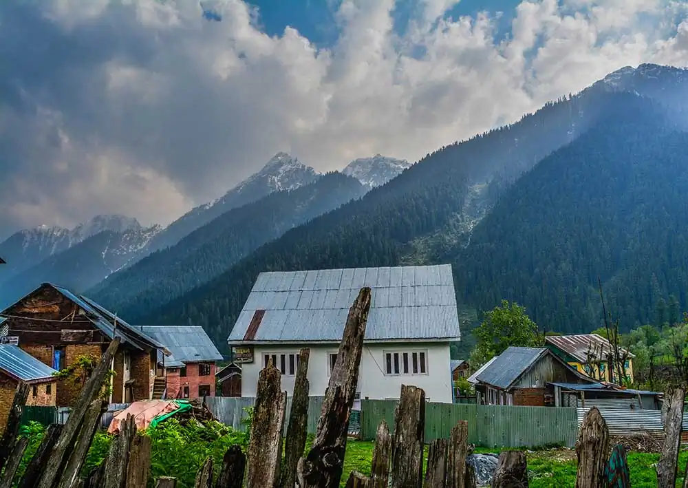 Ankita Majumder (10)