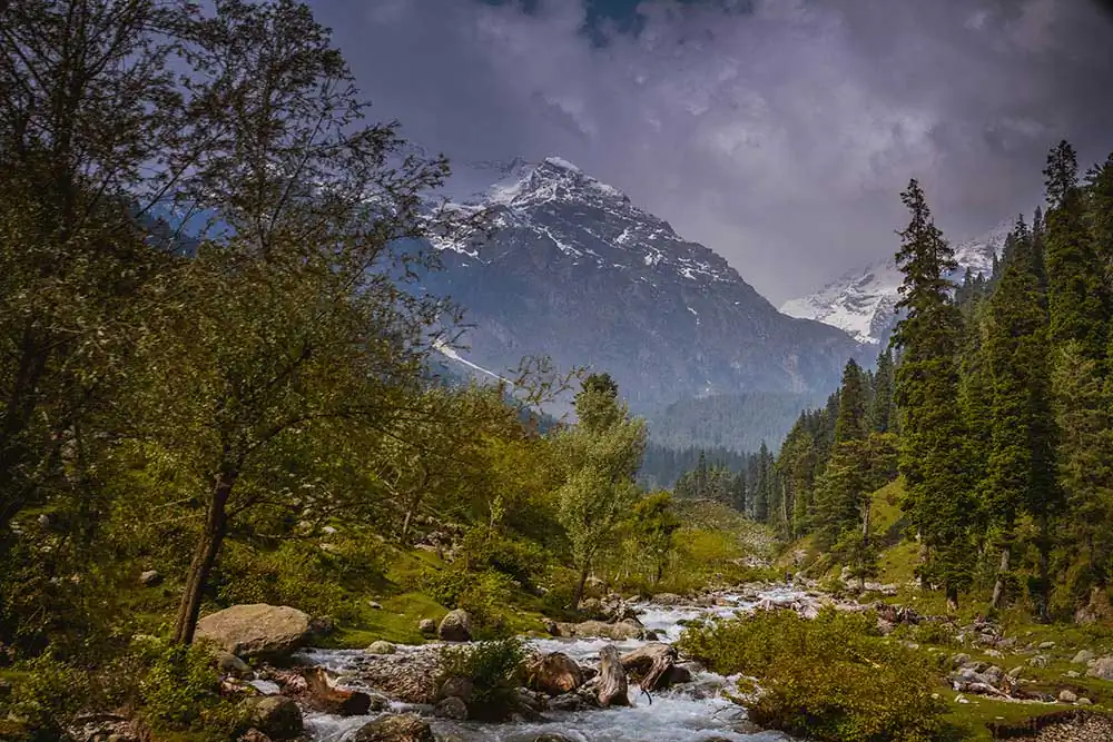 Ankita Majumder (12)