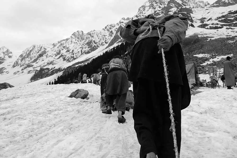 Ankita Majumder (15)