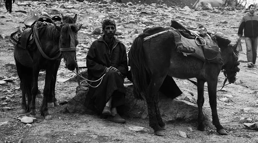 Ankita Majumder (16)