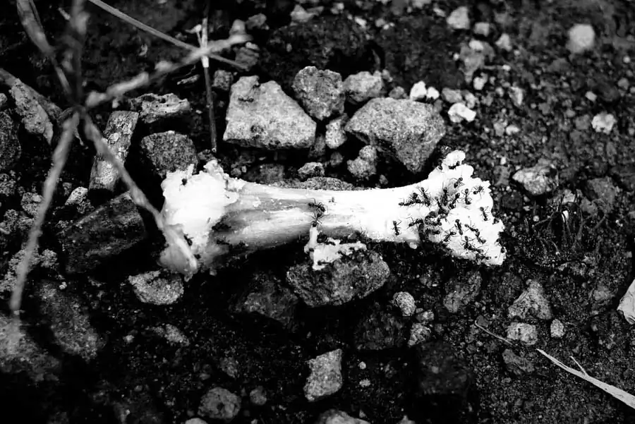 After the N / Gregory Rusmana