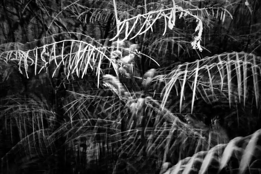 Gregory_Rusmana_ATN_07