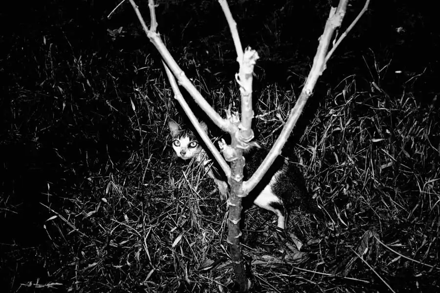 Gregory_Rusmana_ATN_10