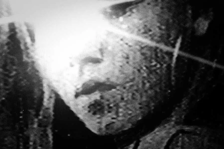 After the N / Gregory Rusmana