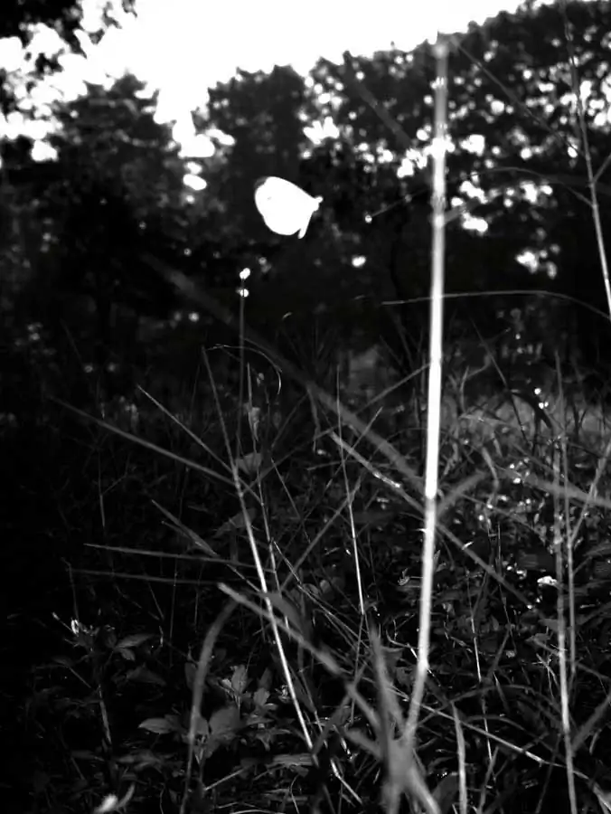 After the N / Gregory Rusmana