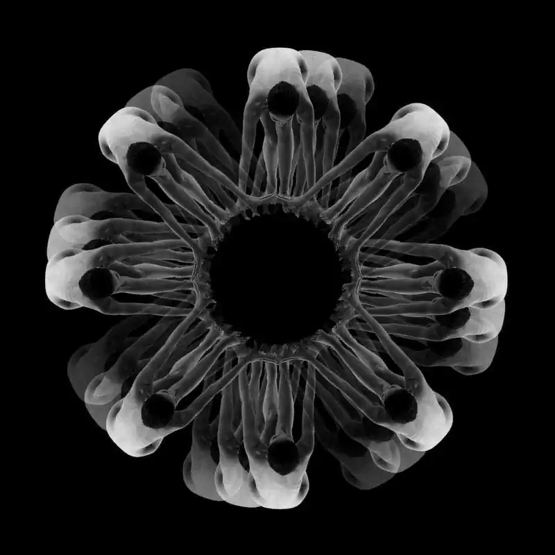 Budding by Emel Karakozak