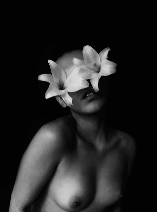 Flowered darkness / Letícia Zica