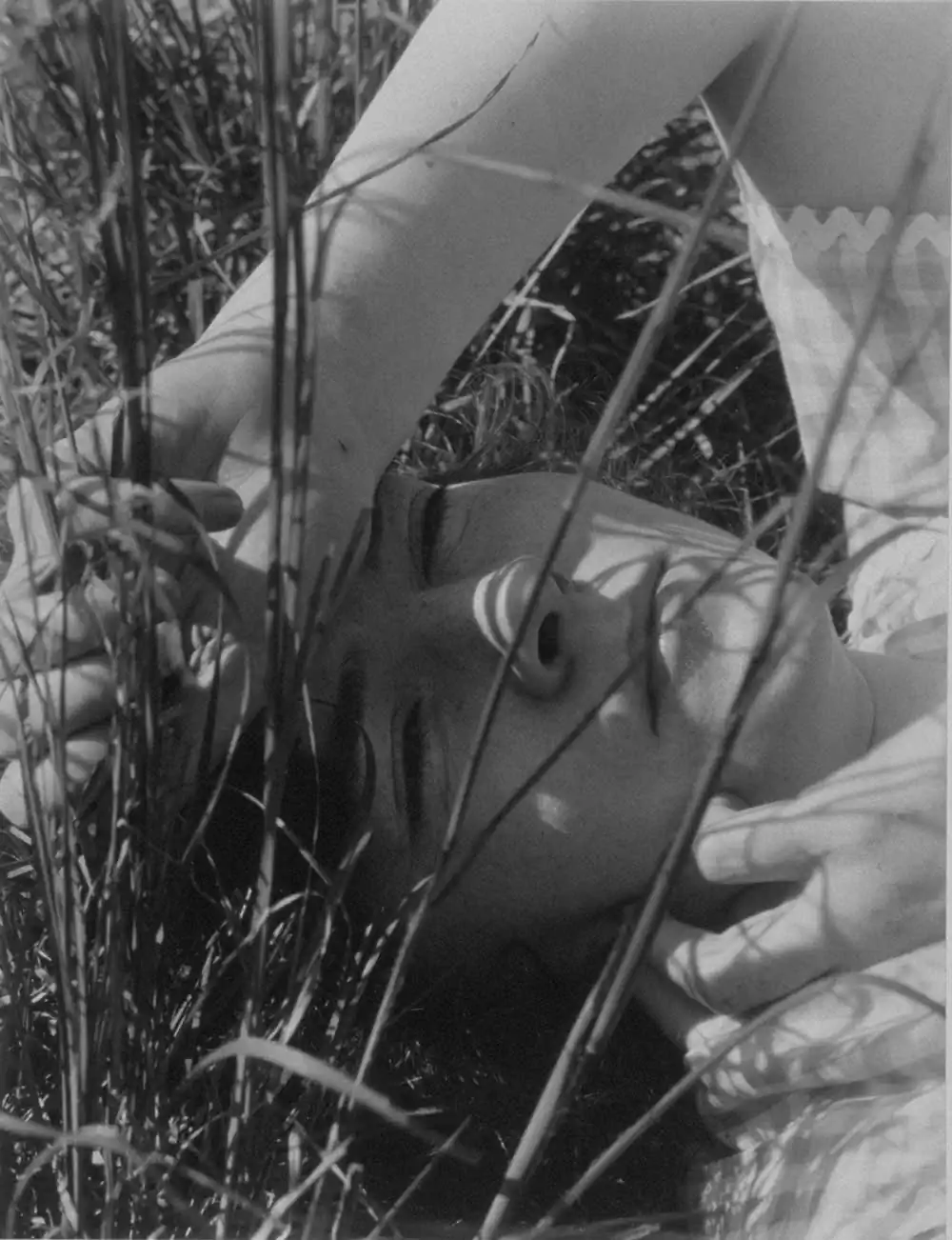 Edward Steichen, The Blue Sky, Long Island, New York, 1923; printed 1987, silver gelatin print, 9 1/2 x 7 1/4 inches (image and paper), Gift of Stephen L. Singer and Linda G. Singer.
