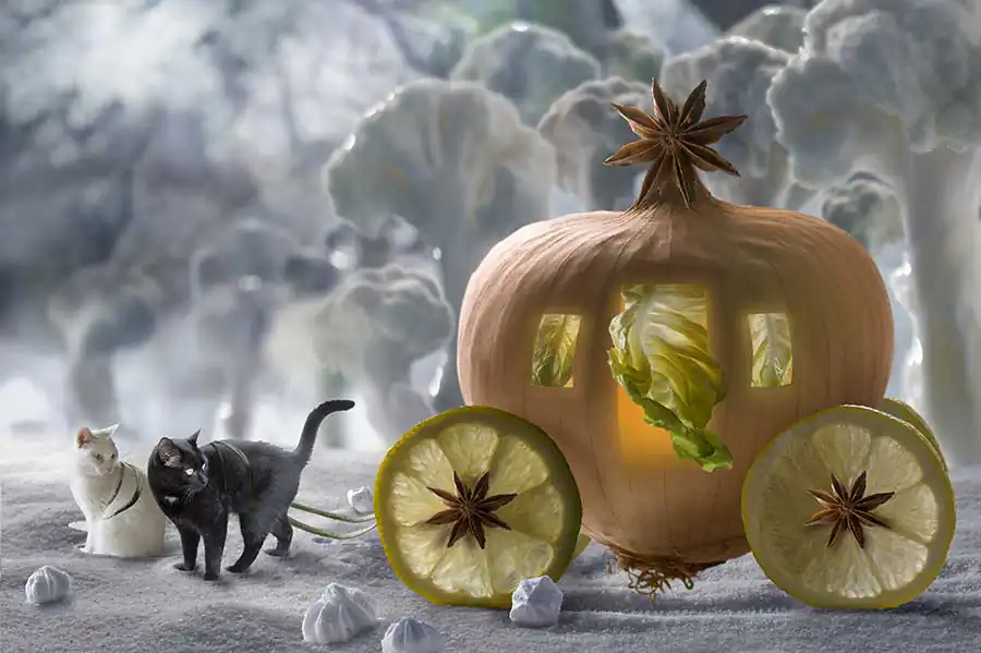 Phantasmagorical / Patrizia Piga