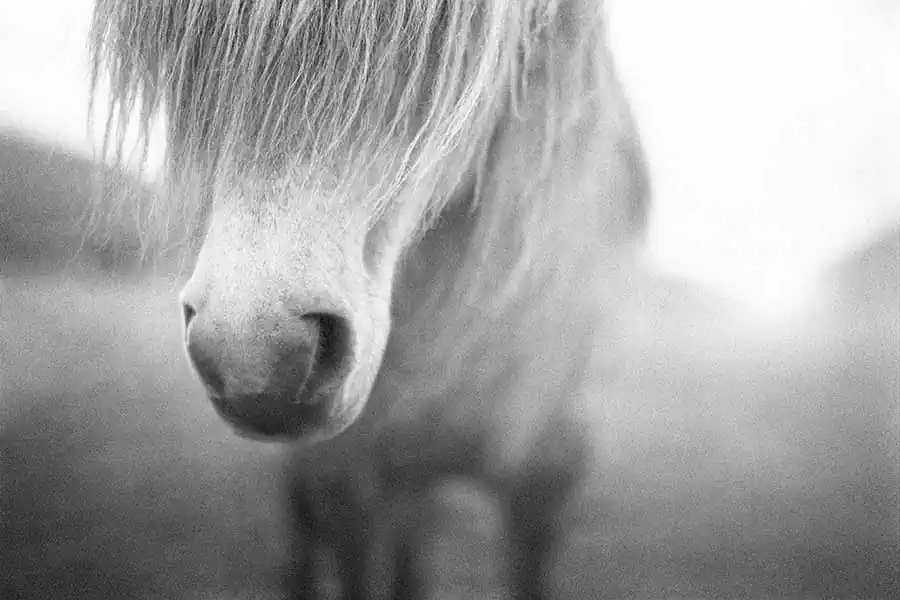 Black & White Photography ; Matthew James Smith