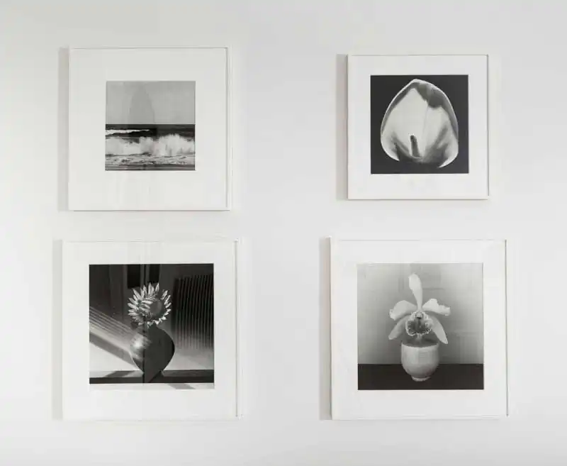McCabe Fine Art | Robert Mapplethorpe
