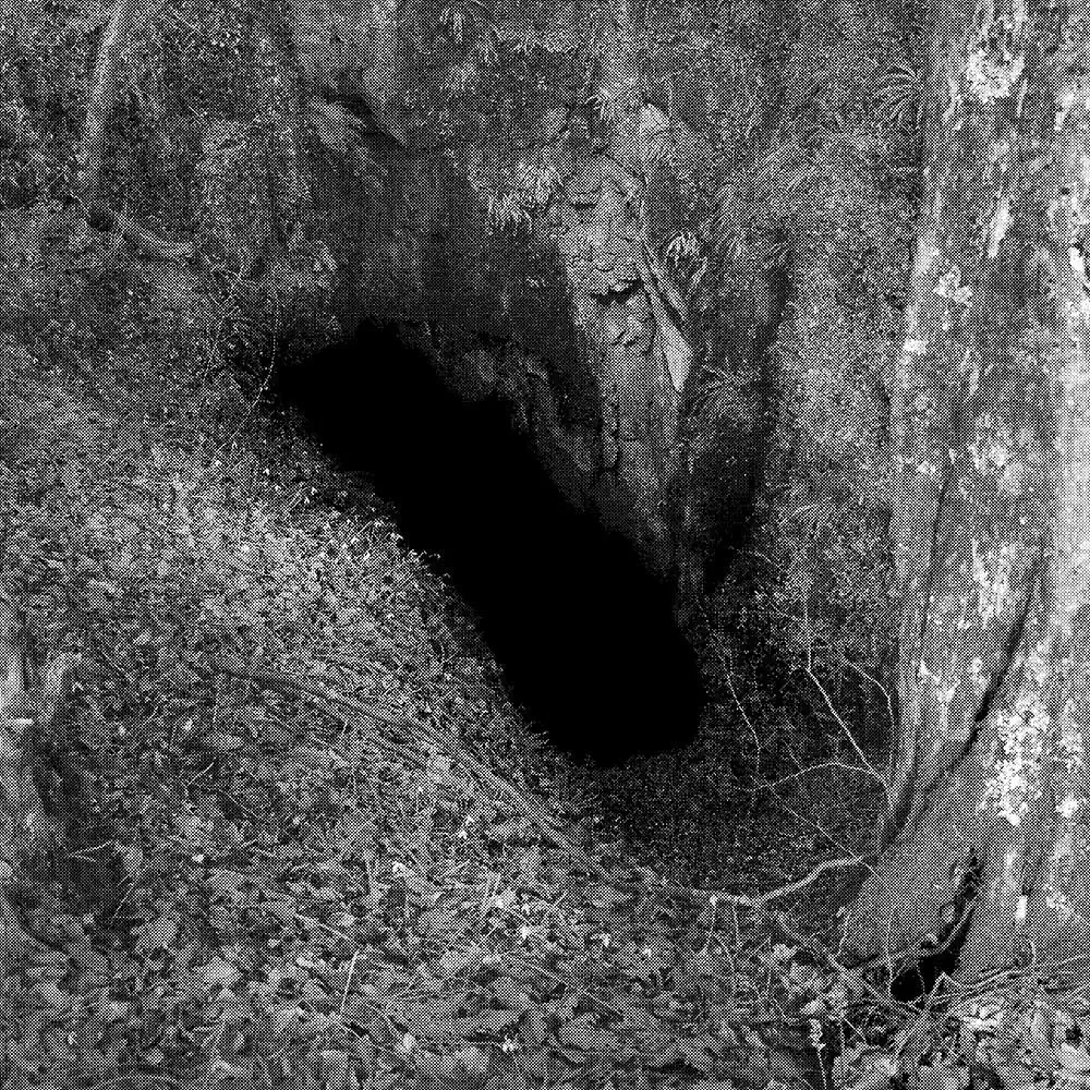 Foibe by Sharon Ritossa