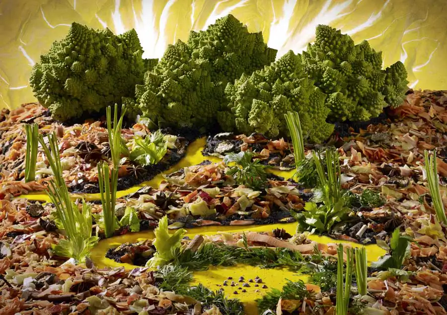 Isabelle Zezima ; Culinary Photography