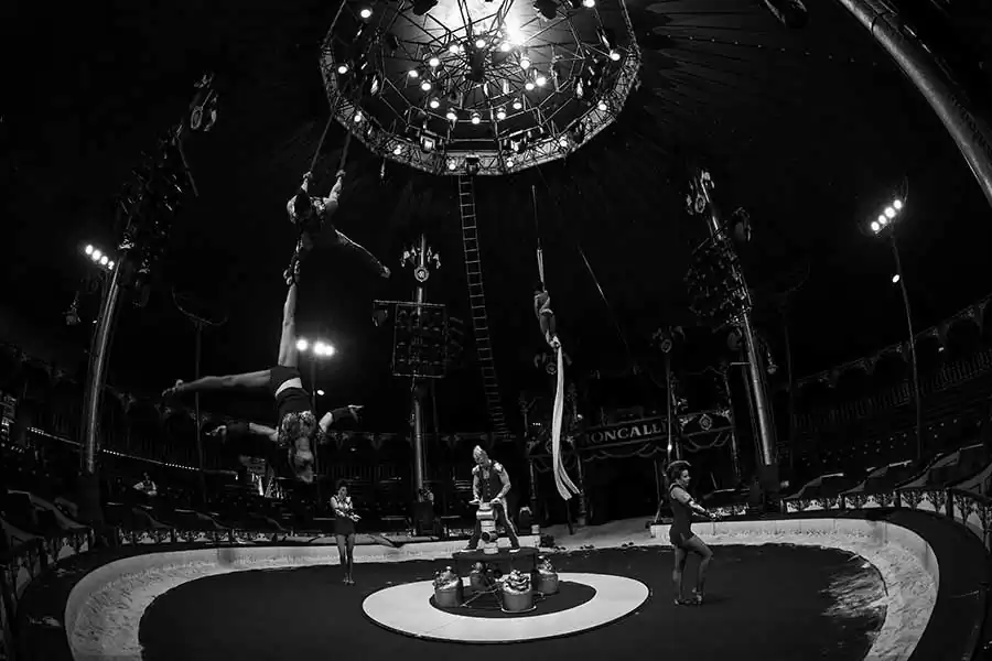 Circus Roncalli – Behind the Curtain | Christina Czybik