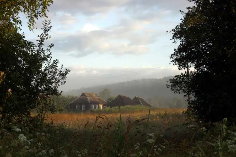 After the Firebird | Ekaterina Vasilyeva