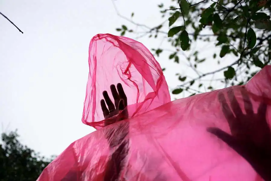 After the Firebird | Ekaterina Vasilyeva