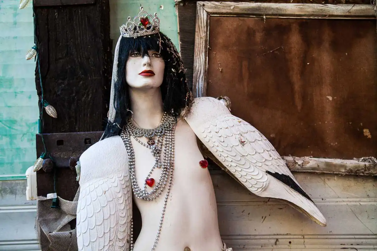 Zen of decay | Anastasia Sofos