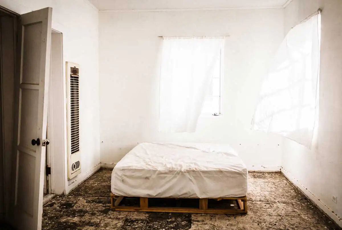 Zen of decay by Anastasia Sofos