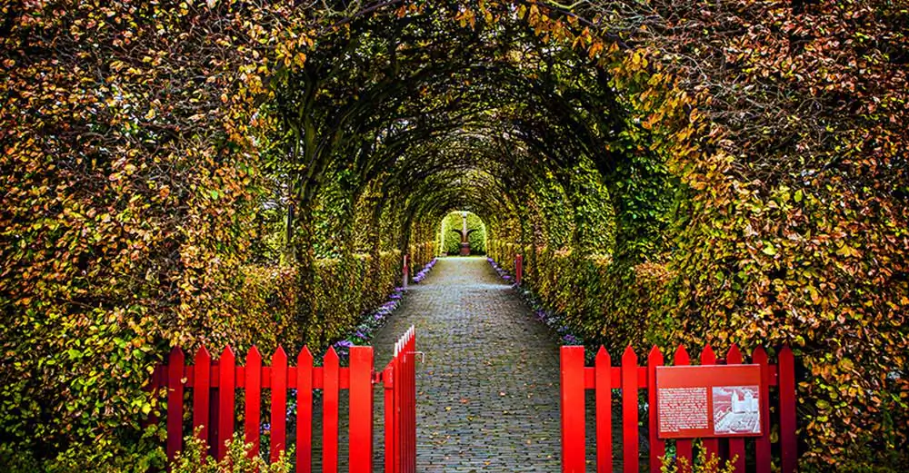 My Wonderland | KireevArt