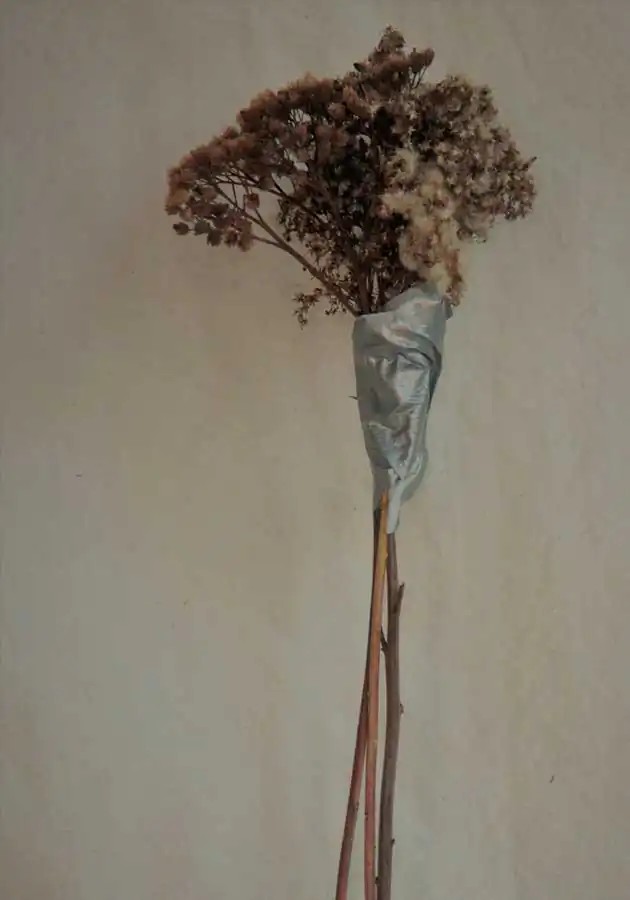 Disconnected | Alice de Kruijs