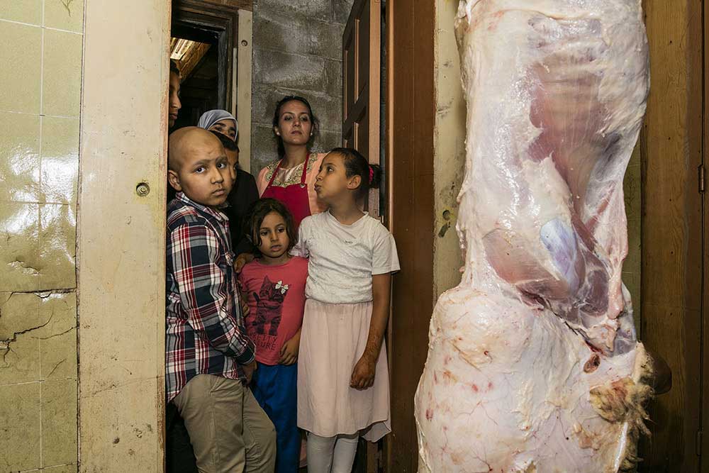 Children watch a sheep being slaughtered in their house on the first day of the Islamic Festival of Sacrifice.