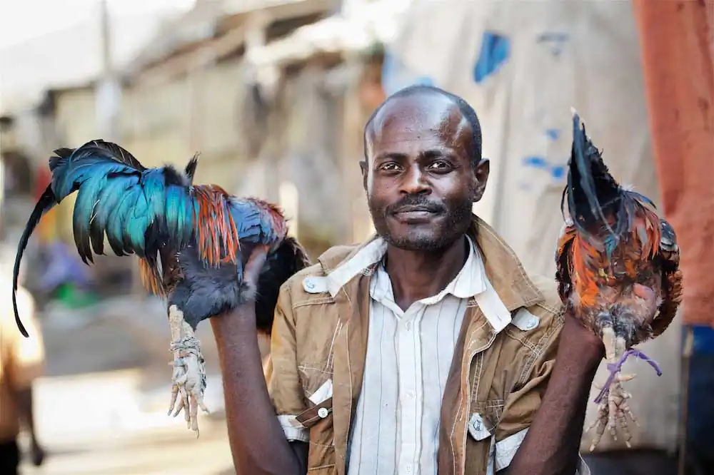Life and culture in Ethiopia by Trevor Cole