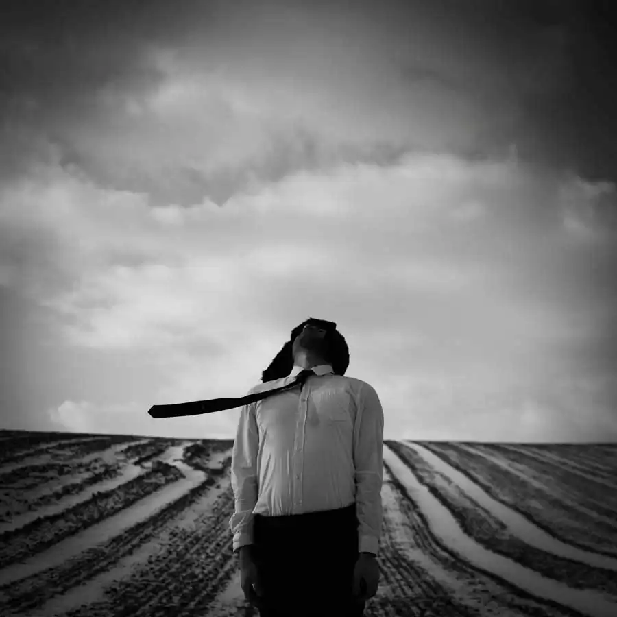 Promised Land | Michał Konrad