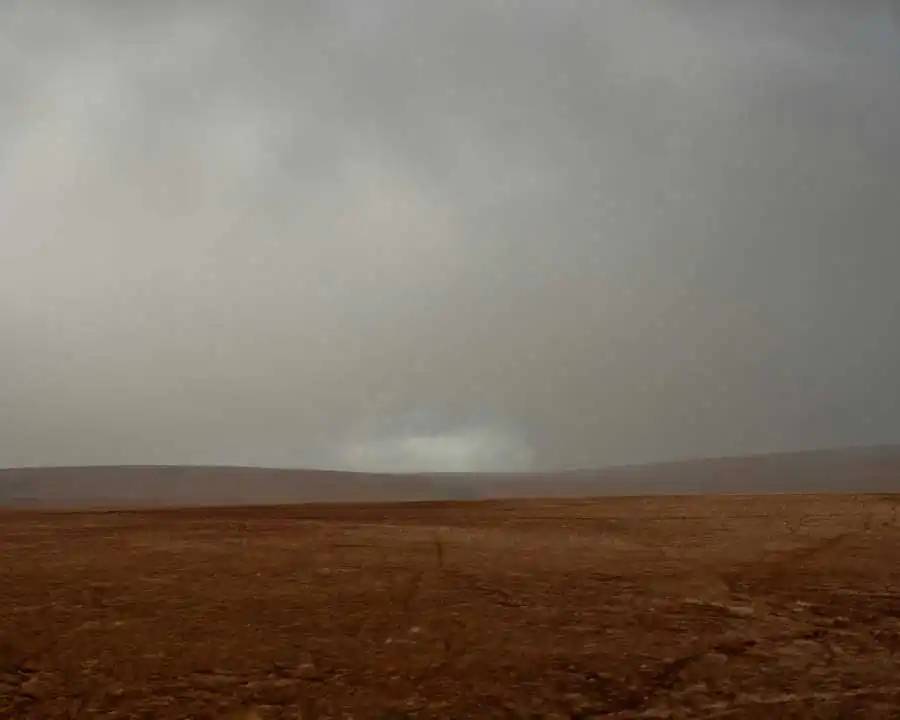 The White Whale by Robert Darch