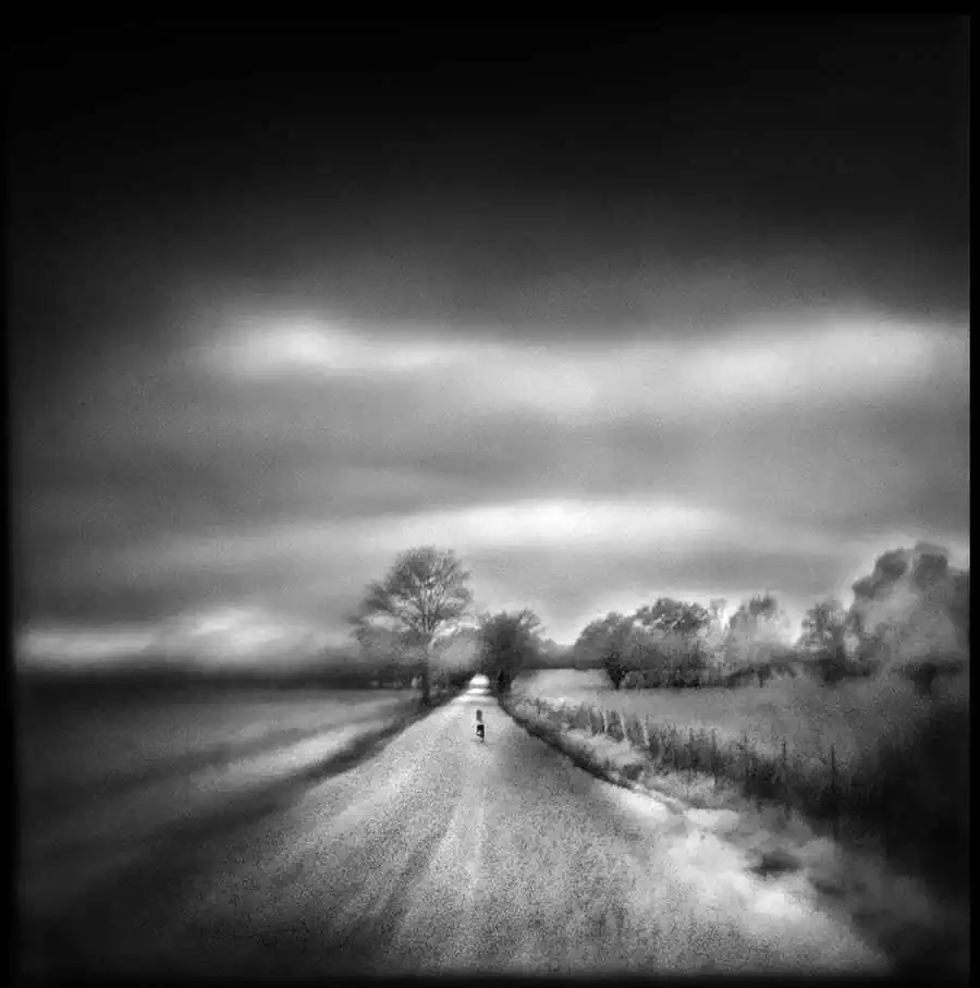 19_lost in mississippi_burnstine