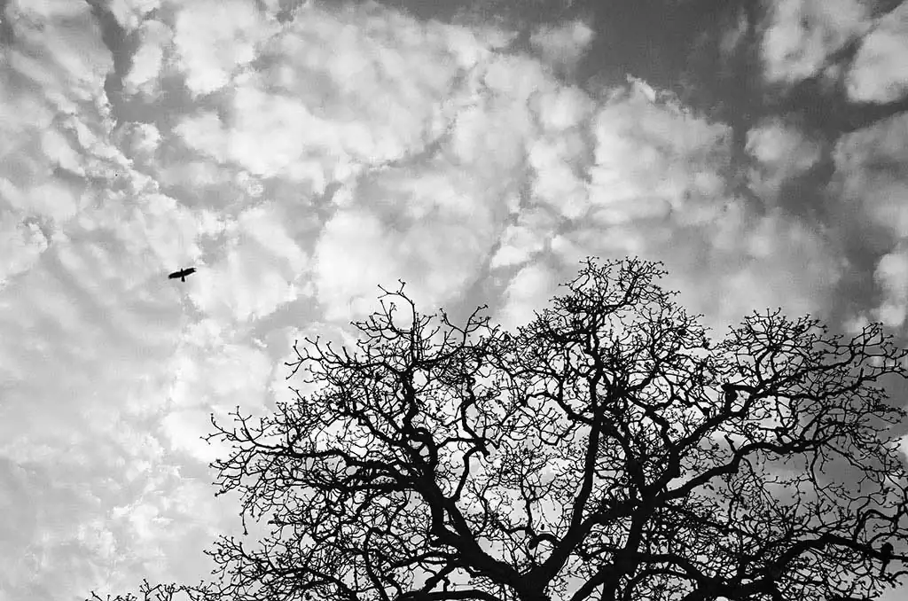 The 25th Hour | Kanishka Mukherji