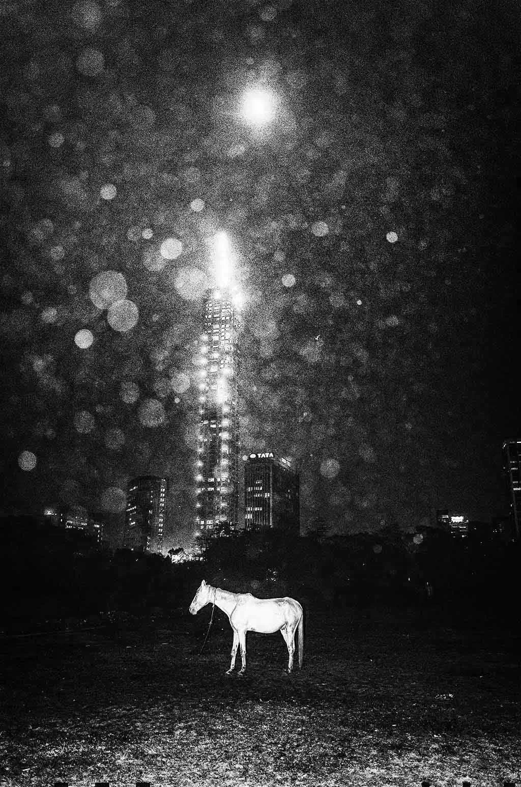 The 25th Hour | Kanishka Mukherji