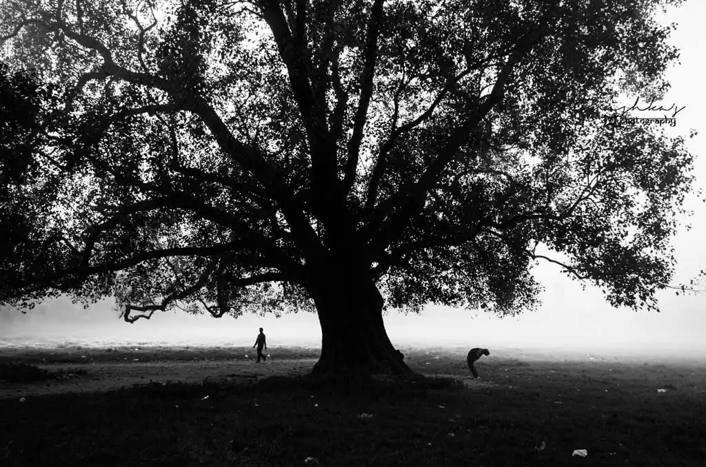 The 25th Hour | Kanishka Mukherji