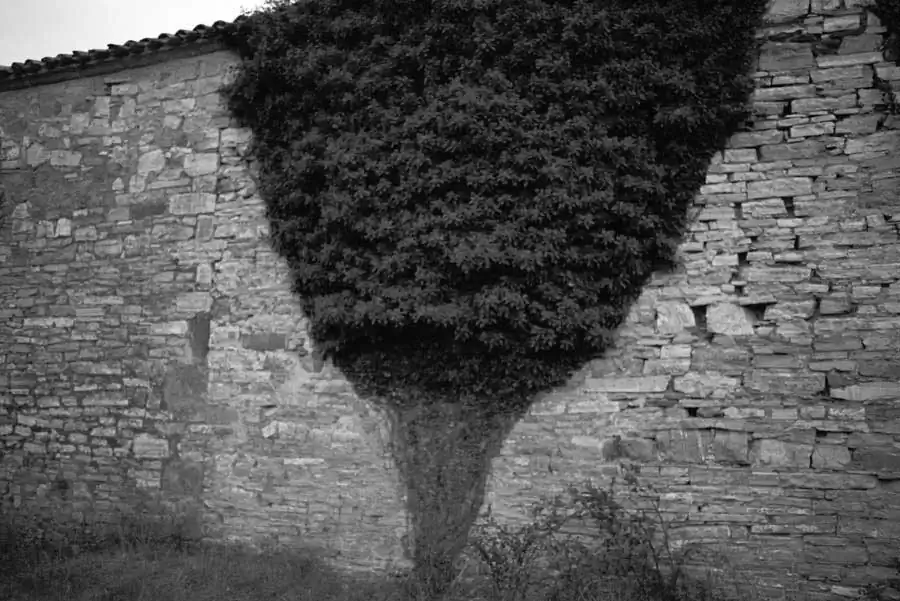 The Depopulation of Europe | Adrián Domínguez