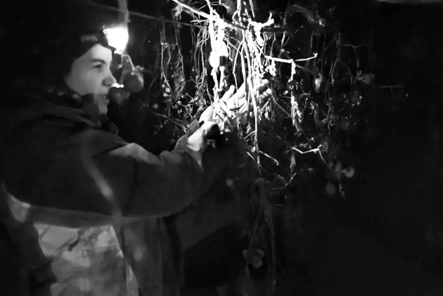 EUROPE'S DEPOPULATED series