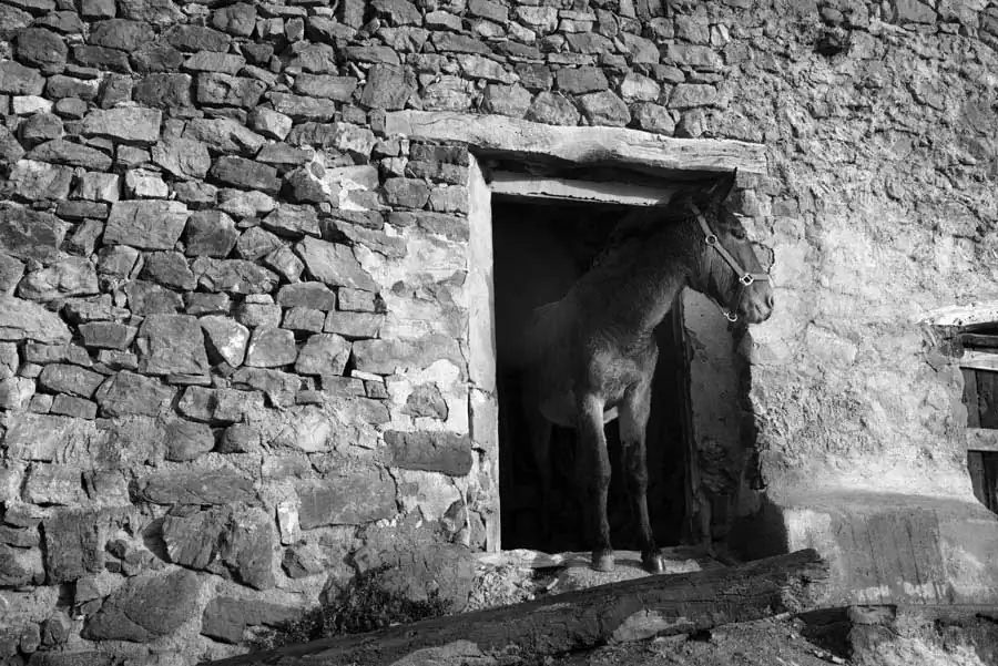 EUROPE'S DEPOPULATED series