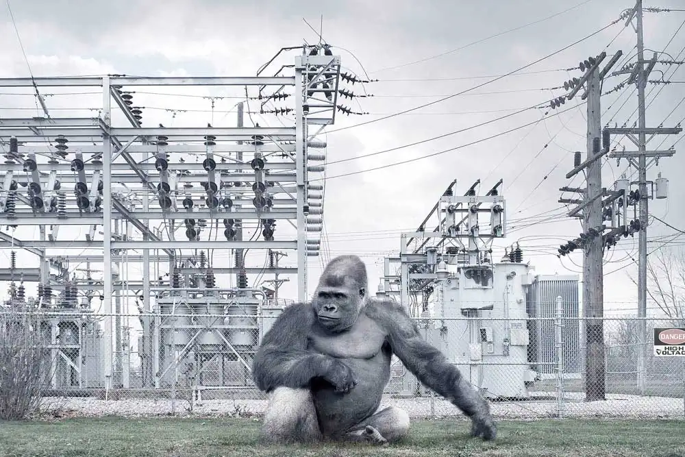 Chris Clor | Cinematic imagery